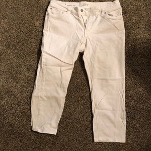 Loft Women’s Capris